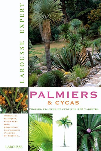 Palmiers et cycas