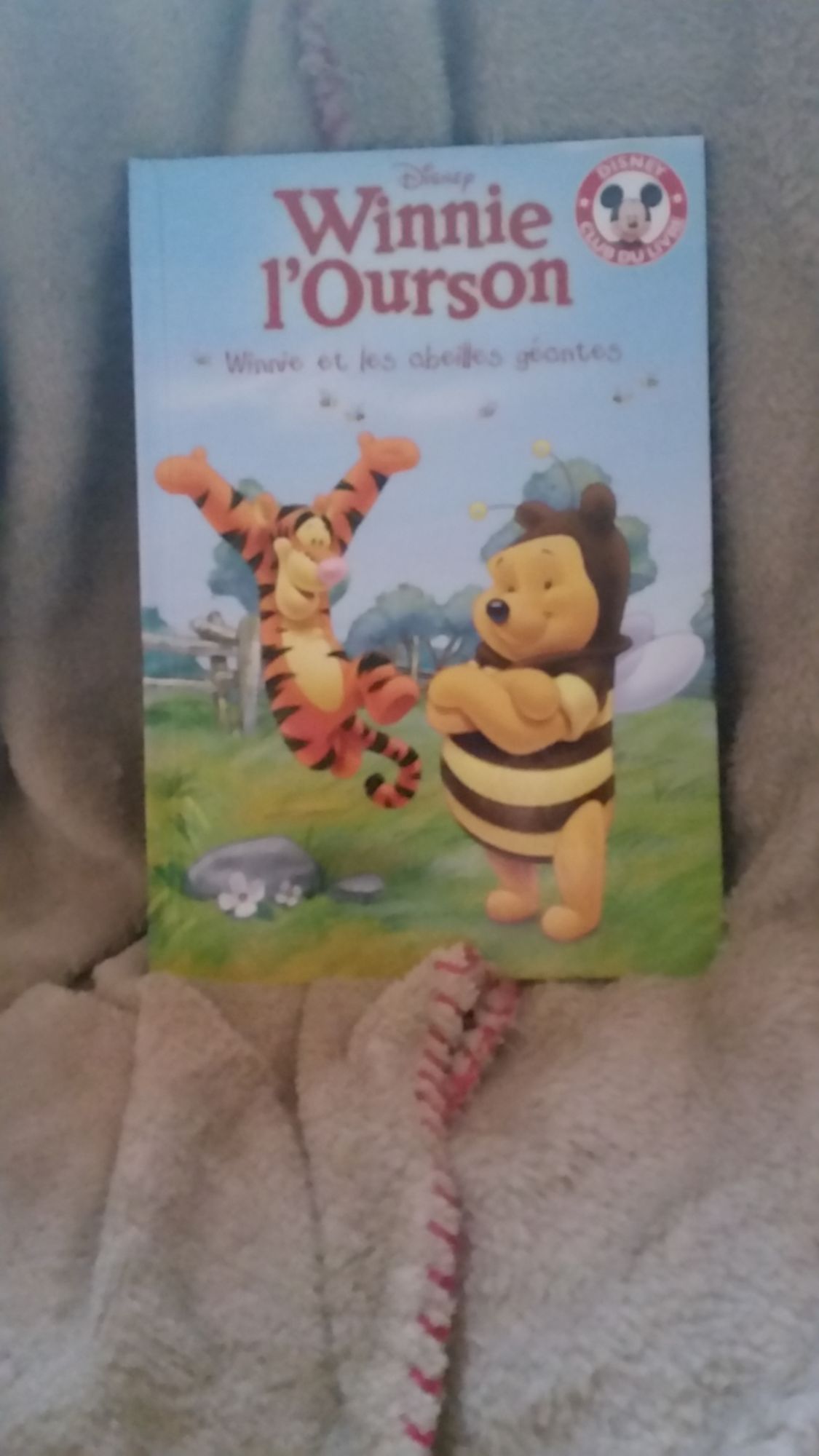 Winnie L'Ourson et les abeilles géantes
