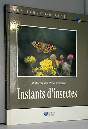 Instants d'insectes