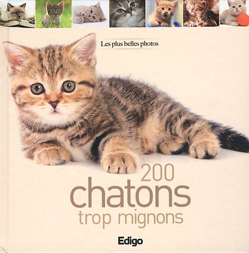 200 chatons trop mignons : Les plus belles photos