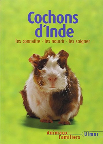 Cochons d'inde ned