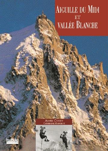 Aiguille du Midi et la Vallée Blanche