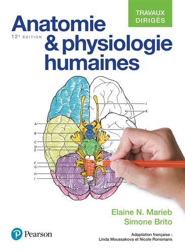 Anatomie et physiologie humaines 12e édition : Travaux dirigés
