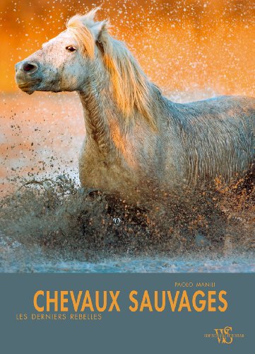 CHEVAUX SAUVAGES