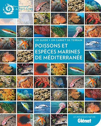 Poissons et espèces marines de Méditerranée