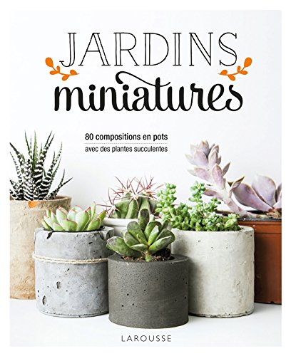 Jardins miniatures avec des plantes succulentes
