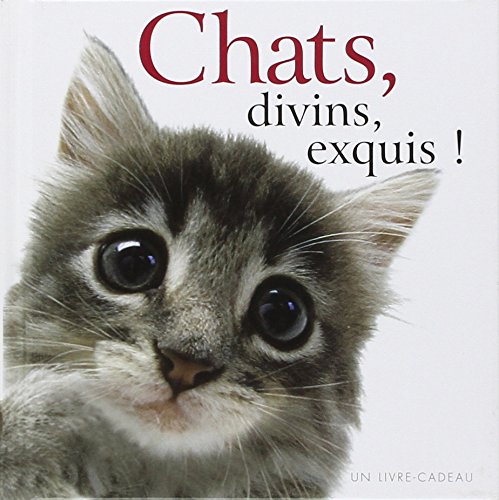 Chats, divins, exquis !