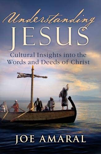 Understanding Jesus: Cultural Insights into the Words and Deeds of Christ