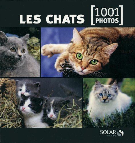 Les chats en 1001 photos NE