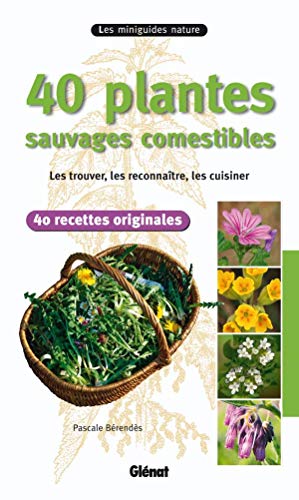 40 plantes sauvages comestibles