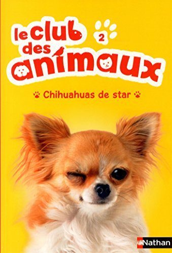 Le club des animaux : Chihuahuas de star (02)