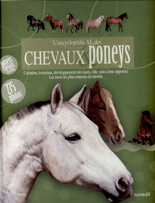 L'encyclopédie XL des chevaux poneys