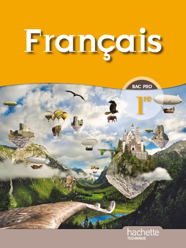 Français 1re Bac Pro - Livre élève Grand format - Ed.2010