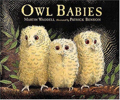 Owl Babies.